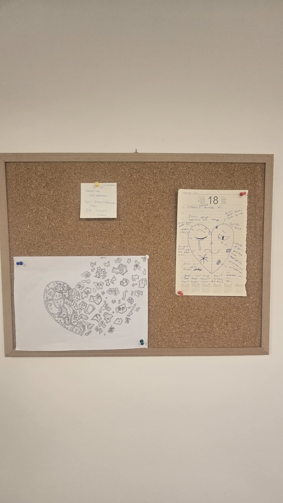 Arzu Koyuncu - Mesleki Gelişim